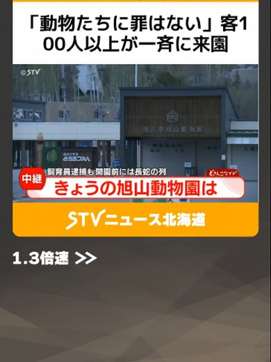 「動物たちに罪はない」客100人以上が一斉に来園 スタッフの表情は“緊張”も…旭山動物園 #旭山動物園 #夏期営業 #飼育員 #TikTokでニュース