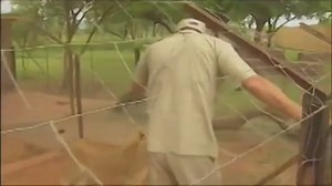 Sexy blonde slut Anna Marek Fucked During Her Safari
