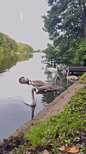 218K views · 2.2K reactions | Pretty Walks in West Yorkshire ✨If...