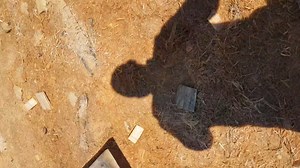 Taiga Log Homes on Reels