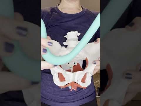 How to use the Intimate Rose wand for Beginners w with Dr Amanda Olson