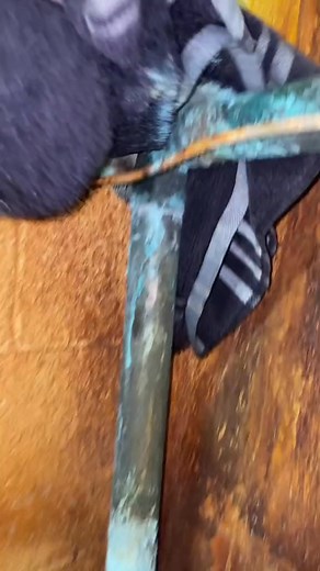 1 12” valve installation #hydrojetting #draincleaning #sewer #contractor #entrepreneur #business #viral #home #repair #motivation #hydrojetter #commercial #success #drains #residential #plumber #electrician #fyp #construction #renovation #plumbing #foryou #trending | CheddarsPlumbing Tip