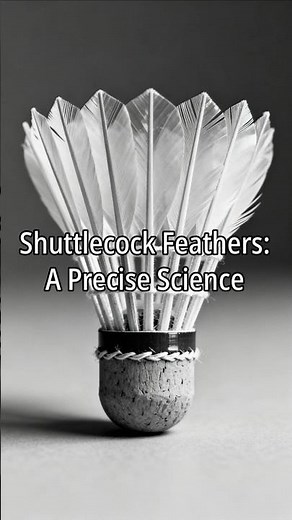 Shuttlecock Feathers : A Precise Science!