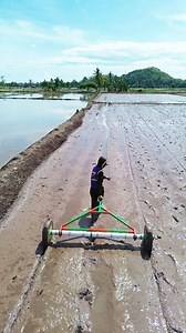 461K views · 2.9K reactions | Cara tanam padi menggunakan pipa paralon  | Fikram kajili jili | Facebook