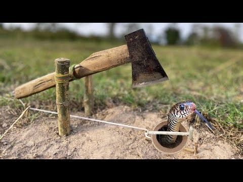 simple DIY snake trap make from Axe - hole Snake Trap!