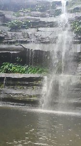 Rex Balancio on Reels