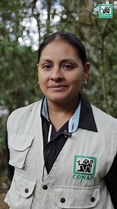 El CONAP da la bienvenida a los compañeros guardarrecursos de nuevo ingreso que vienen a fortalecer junto al personal antiguo a la institución. En la Dirección Regional Metropolitana se destaca que es la primera vez que se cuenta con el ingreso de 18 nuevos Guardarrecursos, entre ellos cuatro mujeres. | Conap Consejo Nacional de Áreas Protegidas | Facebook