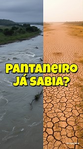 481K views · 11K reactions | Você confia na previsão do tempo ou na sabedoria dos antigos? ️☀️ No Pantanal, o "Janeirinho" é lei. Observar os primeiros 12 dias do ano é a forma como o homem do campo e a natureza se preparam para o que vem pela frente. Uma tradição que mistura observação, fé e sobrevivência. O Pantanal é nosso patrimônio. Ajude a preservar este bioma único e toda a sua vida selvagem.  | Pantanal Revelado | Facebook