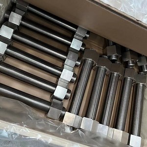 [Hot Item] Customized Fastener Stainless Steel 304 316L PTFE Threaded Rod