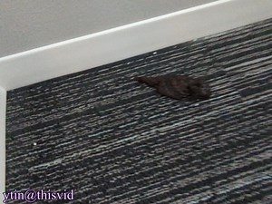 Black Shit Behind Hotel Desk