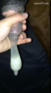 Filling a condom with sweet horse cum.