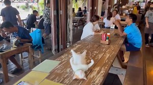 Can sleep anywhere | Animal and Nature Lovers