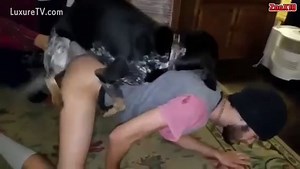 New guy want to try this dog cock