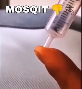 15K views · 390 reactions | Mosquito 烈 | Tik Tok Memes | Facebook