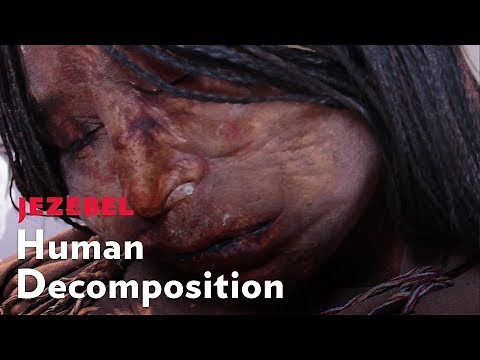 What Happens to Your Body When You Die