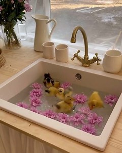 1.9K views · 34 reactions | Pure cuteness ❤️ (IG: @doses_of_style) | LightInTheBox Wedding | Facebook