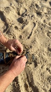 9.9K views · 36 reactions | They found this on a beach in Mexico! Boyfriend and girlfriend find treasure that washed up on the beach by a near by resort.  This video was produced by Network Media and The DK Experience | Heartwarming Productions | Facebook