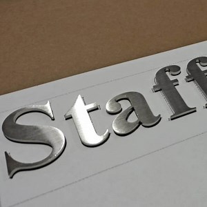 [Hot Item] Sliver Fabricated Stainless Steel Letter Flat Cut Office Logo Commercial Sign
