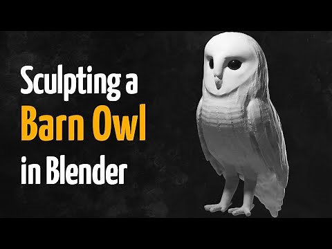 Blender Sculpting Timelapse - Barn Owl