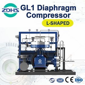 [Hot Item] Reciprocating High Back Pressure Type Laboratory Portable Diaphragm Compressor Gl1