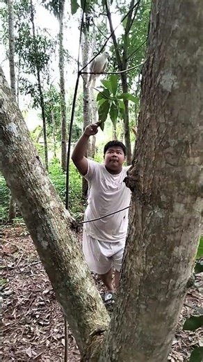 I'm catching a lia bird