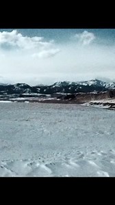 18 reactions | Corral Boots on Reels | Facebook