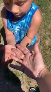 Exotic Petting Zoo!! 🐫🦓🦘 | Ayla Jalyn