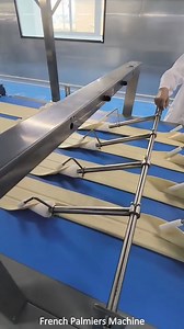 French Palmier Cookies Machine,Butterfly Cracker Machine #蝴蝶酥 #palmier #cookies #bakery @超级粉丝 | Ying Machinery