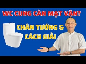 WC in Can palace of house is a serious problem? The truth about toilet error and how to resolve it