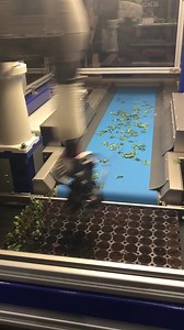 Automating the cloning process! Oh the possibilities with this beauty... Exciting to see the Cannabis Industry growing! Now we just need worldwide #cannabis legalization. #legalizeit | Cannabis.