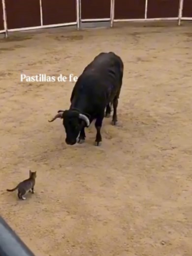 Cuando Dios está contigo: ánimo y fe para vencer lo imposible