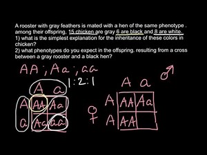 Incomplete dominance and Co-dominance examples