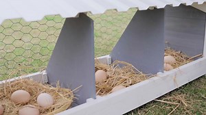  Give Your Pet the Gift of Comfort with PETSFIT Egg Crate Bed! 讀 Enjoy 10% Off for a Limited Time. Shop Now!  Link：https://www.amazon.com/dp/B0CFLKMQ1W?ref=myi_title_dp&th=1 #petsfit #amazon #eggcrate #petsfiteggcrate #ChickenCoop | Petsfit.us | Facebook