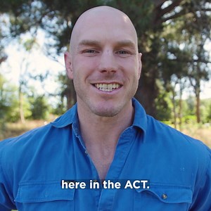 6K views · 591 reactions | IT'S OFFICIAL! The 2022 Federal Election...