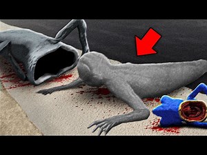 We Caught Every SEA MONSTER... (Full Movie)