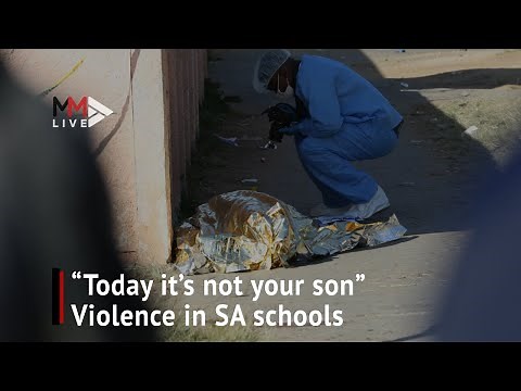 Playgrounds turned battlefields: Are South African school kids becoming more violent?