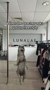 Sorry, best I can do 🤷‍♀️ #polememe #meme #polelols #poledancememe #lunalae #poledance #lol #polewear | Lunalae