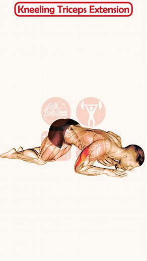 2.9K views · 77 reactions | How to Build Bigger Triceps with Kneeling Cable Extensions. In this video, I will show you how to perform kneeling cable triceps extensions, a great exercise for isolating and stretching your triceps muscles. #triceps #cable #extension #kneeling #arm #workout #fitness #bodybuilding #muscle #strength #isolation #stretch #growth #form #technique #tips #exercise #video #youtube #rope #overhead #onearm #dropset #bench #pulley | Explore Health Blog | Facebook