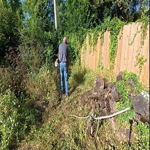 Homeowner Shocked We Uncovered A Hidden Patio & Sidewalk In His Overgrown Yard | Daily TKlawns