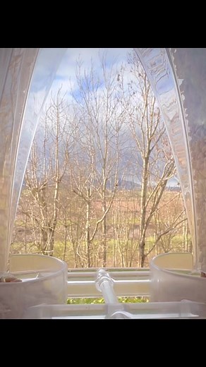 3.4K views · 271 reactions | The return of the Nuthatch #nuthatch #uk #ukbirds #birds #birdwatching #justforfun #lovenature #hesback | RJP Photography UK | Facebook