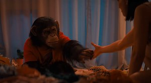 Killer Chimp Horror Movie ‘Primate’ Unleashes Rabid Suspense and Jaw-Dropping Practical Effects [Trailer]