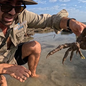 1M views · 11K reactions | Back 2 Basics Adventures on Reels | Facebook