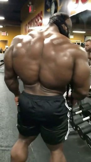 RETRO PHYSIQUES on Instagram: "Wtf lol link in bio for our famous old school gym clothing + shorts. Worldwide shipping."