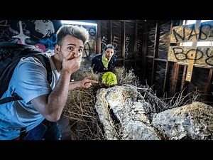 The Most Toxic Town In America | Strange Cult Rituals Left Here