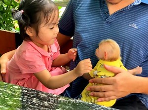 BiBi monkey look happy meet new friend at breakfast place, And his friend look so much love BiBi | Monkey Show Daily