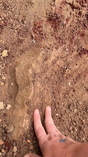 21 reactions | Root Beer Druzy plate #hauntedridgerocks #druzyquartz #digyourown #crystals | RockHunter Mark | Facebook