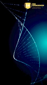 #pdb #proteindatabank #rcsb #uniprot #SwissPDB #swissprot #proteinstructure #proteinanalysis #bdglifesciences #biotech #bioinformatics #biotechnology #bioinformática #bioinfo #protéines #proteomics #biodata #xraycrystallography #drugdesign #drugdiscovery #molecularmodeling #proteinsimulation #proteinligand #proteinligandcomplex #proteinliganddocking #bioinformaticstrainingcompany #bioinformaticscompany #biotechnologyindustry #itsdifferentbybiodiscovery #bdg | BDG LifeSciences