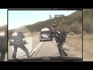 State cop shoots at minivan full of kids