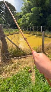 Pesquei Muito Peixe Grande Na Vara de Bambu #pescaria #pescando #pescador #pescados #roça | Mateus Pereira