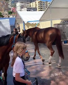 1.5K views · 106 reactions | The Jumping International de...